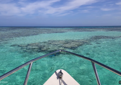 Capture d’écran 2026-01-12 à 02.22.33