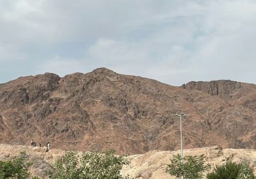 e5dd2a4e0e8155708caedd95d1e3cd3e